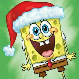 Meet your Posher, Ivette